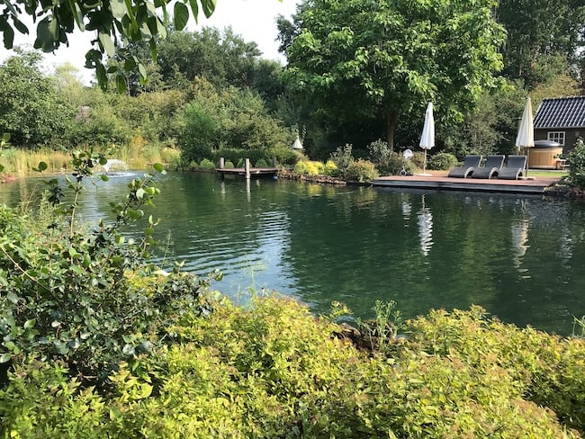 Étang de baignade naturelle 